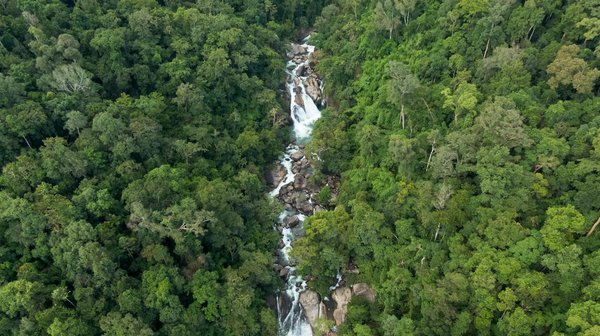5 conseils pour réussir son barbecue