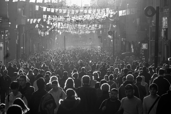 Comment occuper son chat au quotidien