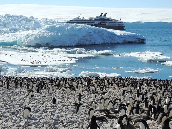 Explorez les prix des croisières de luxe en antarctique